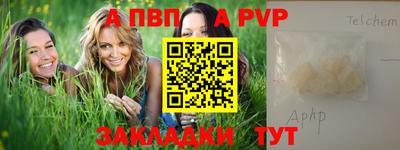 спиды Донской
