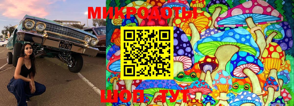 Псилоцибиновые грибы Psilocybine cubensis Луховицы