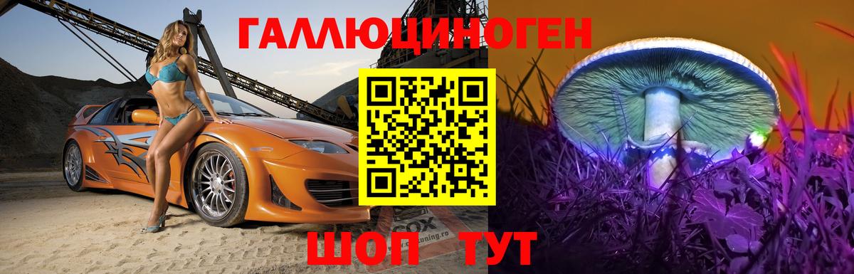 Луховицы  Псилоцибиновые грибы Psilocybine cubensis  Вход с VPN 